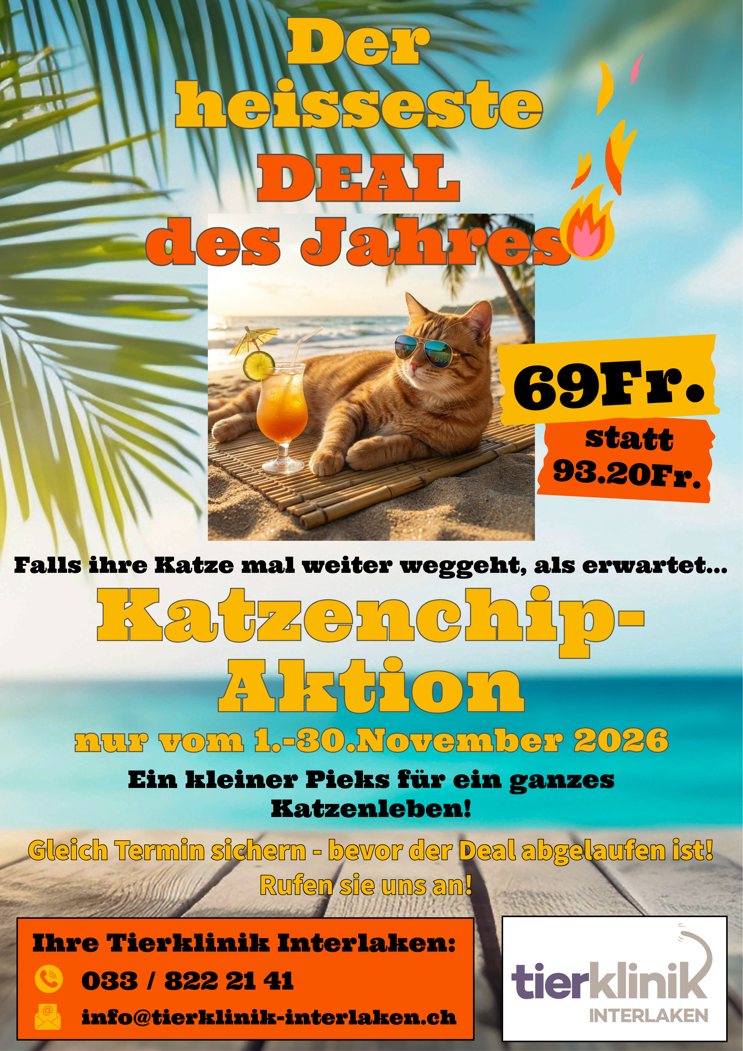 Katzenchip-Aktion 2026