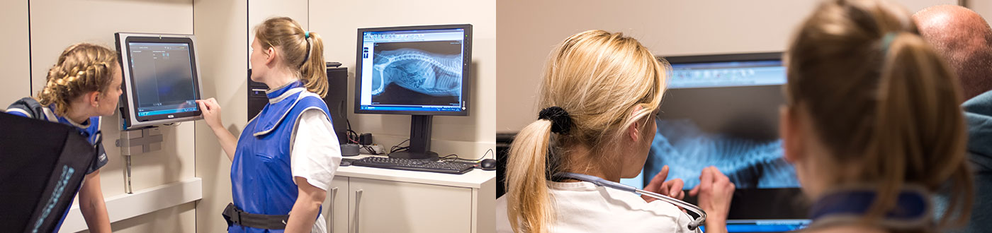Tierklinik Röngen