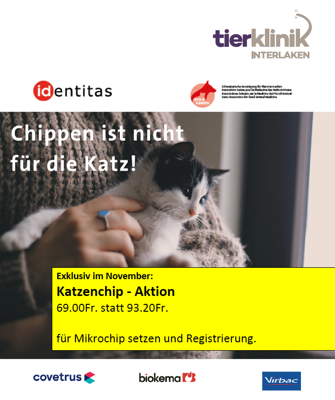 Katzenchip - Aktion 2025